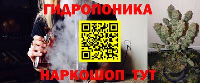 скорость Рязань