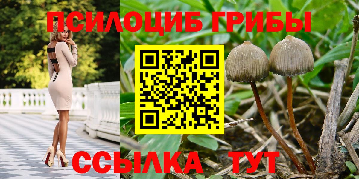 Луховицы  Псилоцибиновые грибы мухоморы  Псилоцибиновые грибы Psilocybe  Вход с VPN 