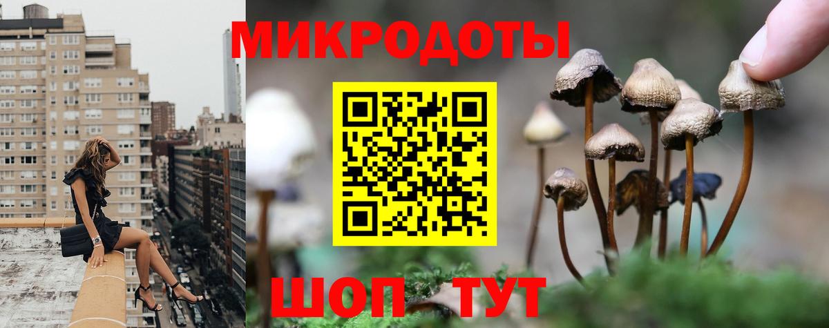 Галлюциногенные грибы Cubensis Луховицы